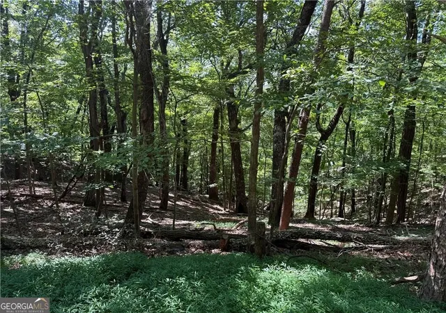 Photo 3 of Land for sale at 0 Moss Patch, Jasper, GA 30143 | MLS# 10634791 | Listing updated on 2025-12-30