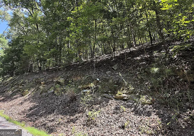 1st image of 686 Anderson Ln Ne, Ranger, GA 30734 | MLS# 10831286