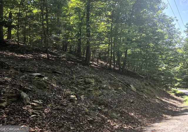 Photo 3 of Land for sale at 686 Anderson Ln Ne, Ranger, GA 30734 | MLS# 10831286 | Listing updated on 2026-09-05