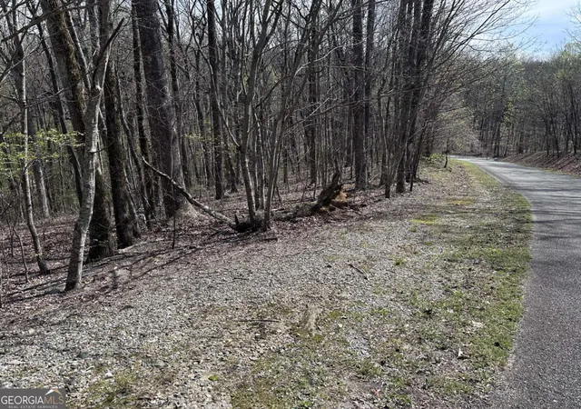 Photo 1 of Land for sale at 189 St Andrews Way, Ellijay, GA 30536 | MLS# 10789058 | Listing updated on 2026-07-08