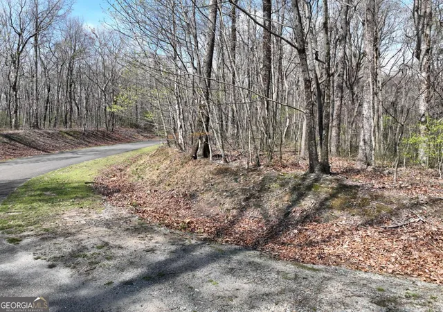 Photo 4 of Land for sale at 189 St Andrews Way, Ellijay, GA 30536 | MLS# 10789058 | Listing updated on 2026-07-08