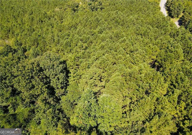 Photo 6 of Land for sale at 0 Resaca Lafayette Rd, Resaca, GA 30735 | MLS# 10706565 | Listing updated on 2026-03-23