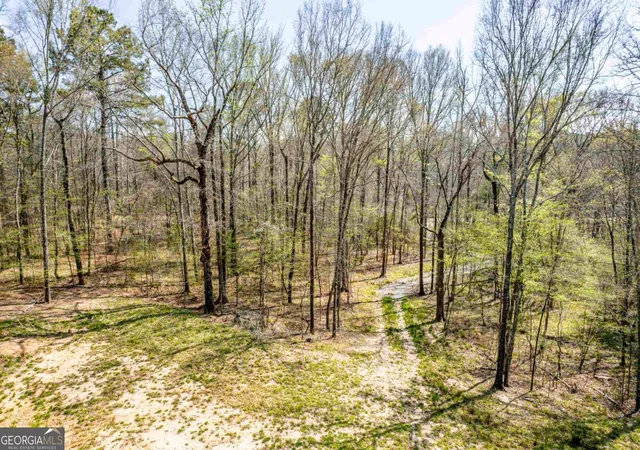 Photo 3 of Land for sale at 357 Old Copelan Rd, Eatonton, GA 31024 | MLS# 10721700 | Listing updated on 2026-09-24