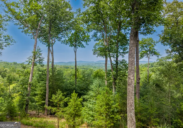 26th image of 353 Robinson Thomas Rd, Morganton, GA 30560 | MLS# 10807998
