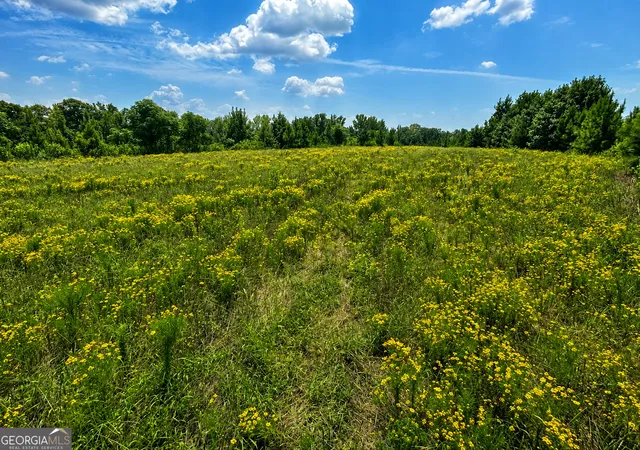 Photo 3 of Land for sale at 47 Mayfield Rd, Warrenton, GA 30828 | MLS# 10809733 | Listing updated on 2026-09-18