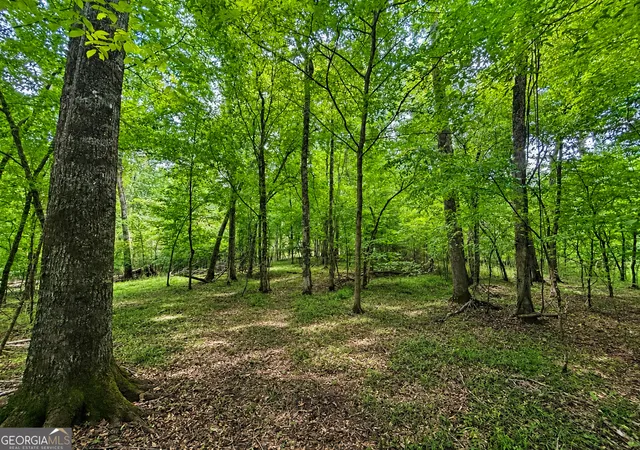 Photo 3 of Land for sale at 47 Mayfield Rd, Warrenton, GA 30828 | MLS# 10809733 | Listing updated on 2026-09-18