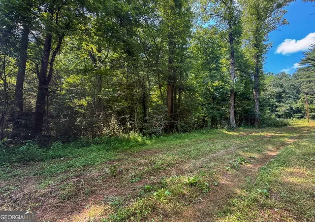 3rd image of 0 Hwy 19 N, Dahlonega, GA 30533 | MLS# 10815190