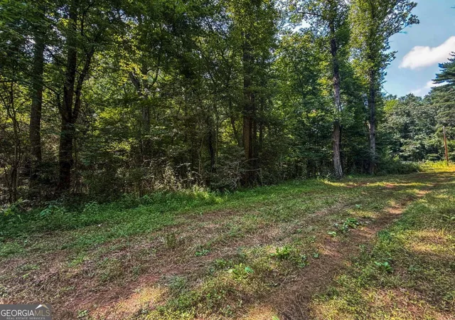 4th image of 0 Hwy 19 N, Dahlonega, GA 30533 | MLS# 10815190