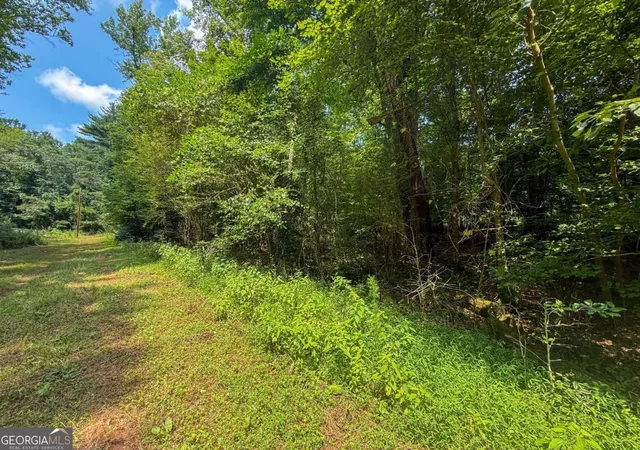 5th image of 0 Hwy 19 N, Dahlonega, GA 30533 | MLS# 10815190