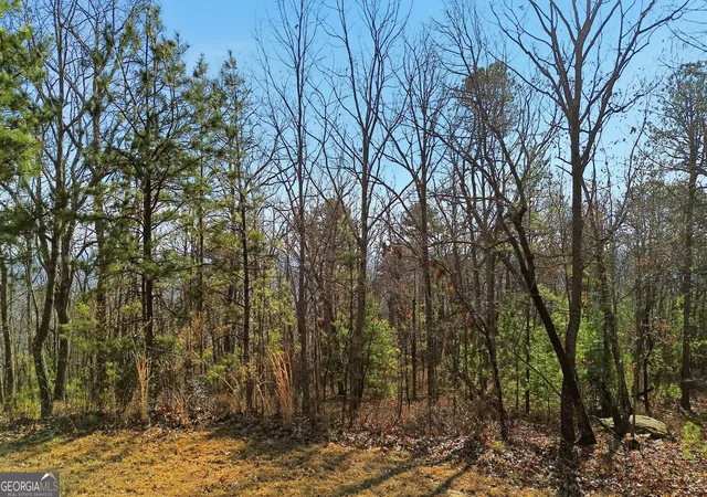Homes for sale in Clarkesville, GA | Lot 59 Mountain Sweet Dr, Clarkesville, GA 30523 | MLS# 10778216