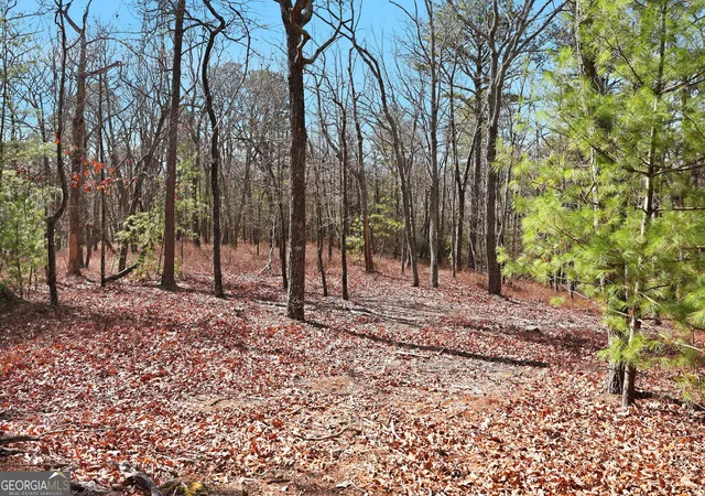 Homes for sale in Clarkesville, GA | Lot 59 Mountain Sweet Dr, Clarkesville, GA 30523 | MLS# 10778216