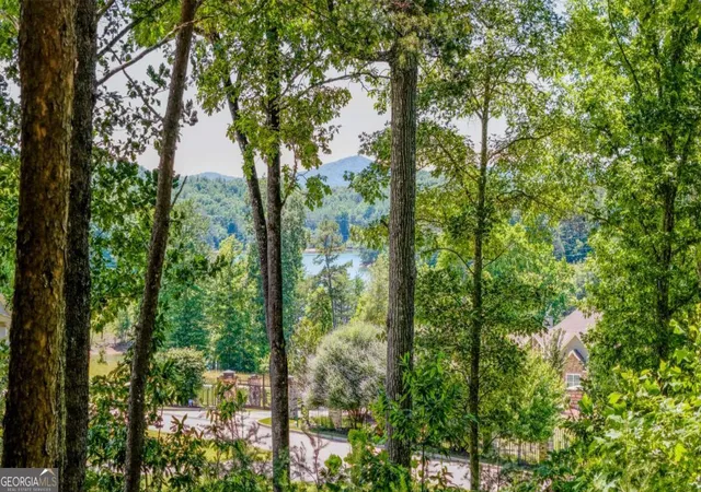 Homes for sale in Blairsville, GA | Lot 35 Hidden Hbr, Blairsville, GA 30512 | MLS# 10788532