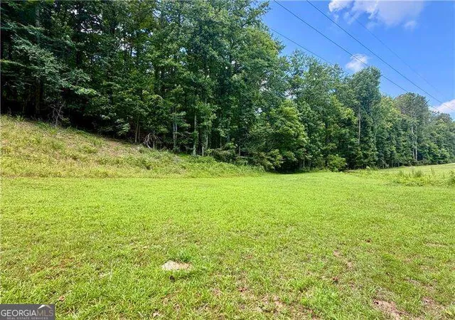 5th image of 311 Woodland Brook Dr, Canton, GA 30115 | MLS# 10815368
