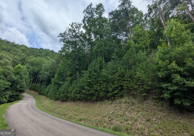 Homes for sale in Ellijay, GA | 232 Stone Cliff Dr, Ellijay, GA 30536 | MLS# 10792945