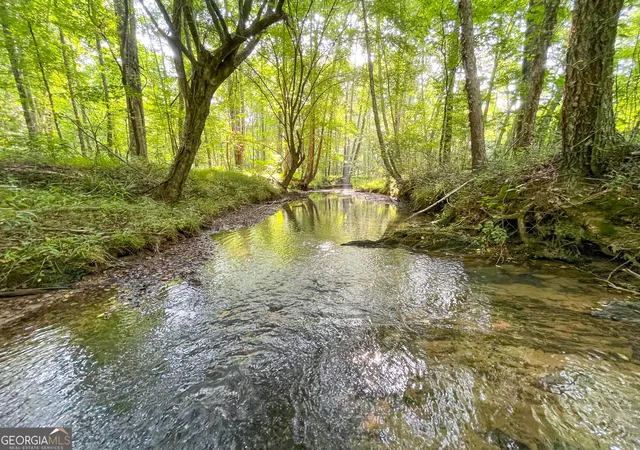 4th image of 1175 Everett Springs Road, Ne (32 +/- Ac), Calhoun, GA 30701 | MLS# 10806454