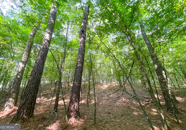 5th image of 1175 Everett Springs Road, Ne (32 +/- Ac), Calhoun, GA 30701 | MLS# 10806454