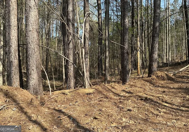 Homes for sale in Rockmart, GA | 262 White Creek Loop, Rockmart, GA 30153 | MLS# 10718050