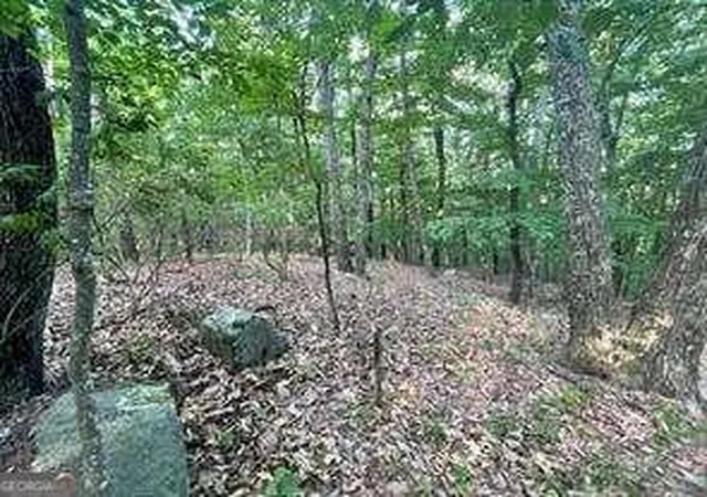 Homes for sale in Chickamauga, GA | 860 Cloudland Tr, Chickamauga, GA 30707 | MLS# 10336281