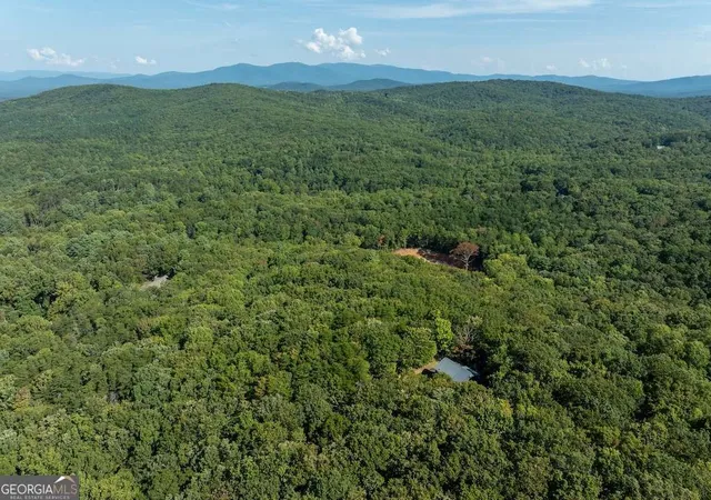33rd image of 214 Dickerson Dr, Ellijay, GA 30536 | MLS# 10740568