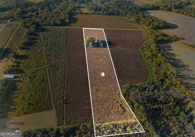 Homes for sale in Claxton, GA | 0 Waters Ln #LOT 4, Claxton, GA 30417 | MLS# 10786600