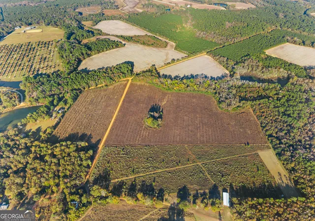 Photo 4 of Land for sale at 0 Waters Ln #4, Glennville, GA 30427 | MLS# 10786600 | Listing updated on 2026-06-29