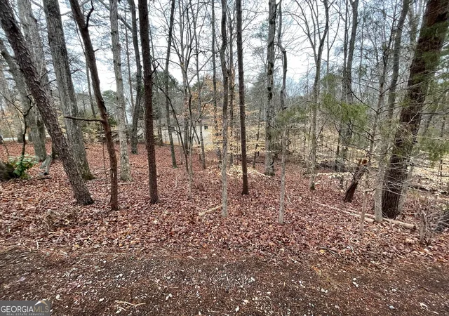 Photo 3 of Land for sale at Lot 43 Chickasaw Dr, Westminster, SC 29693 | MLS# 10738953 | Listing updated on 2026-05-06