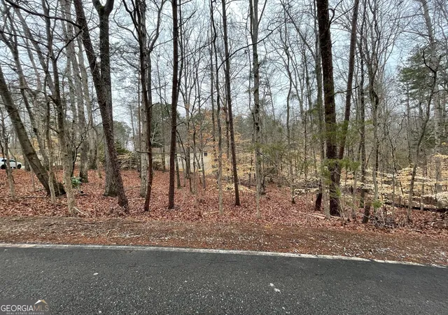 Photo 4 of Land for sale at Lot 43 Chickasaw Dr, Westminster, SC 29693 | MLS# 10738953 | Listing updated on 2026-05-06