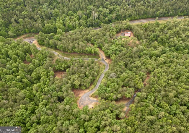 18th image of Lot 5 Murphy Hwy (spur 60), Mineral Bluff, GA 30559 | MLS# 10770025