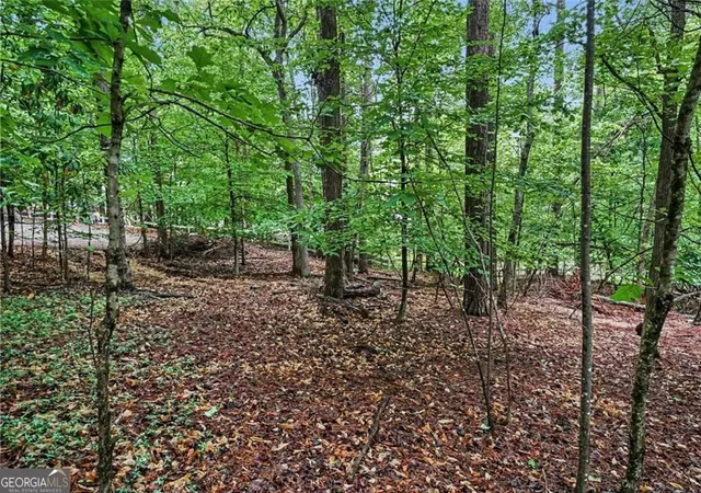 Land for sale at 3838 Wesley Chapel Rd, Marietta, GA 30062 | MLS# 10756341