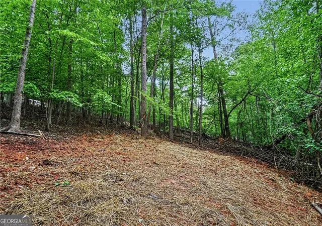 Photo 2 of Land for sale at 3838 Wesley Chapel Rd, Marietta, GA 30062 | MLS# 10756341 | Listing updated on 2026-07-22