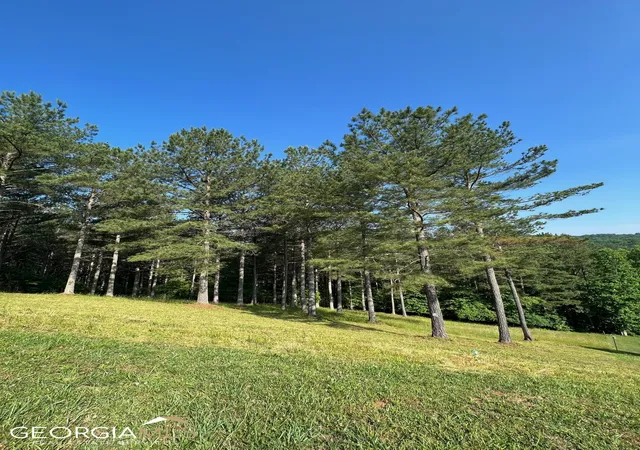 Photo 3 of Land for sale at Lt 54 Pinehurst Rd, Blairsville, GA 30512 | MLS# 10709160 | Listing updated on 2026-03-26