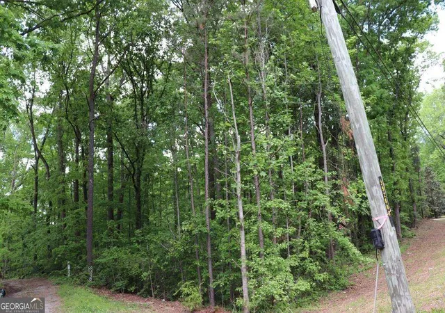Photo 4 of Land for sale at 0 Jailette Rd, Atlanta, GA 30349 | MLS# 10793862 | Listing updated on 2026-07-10