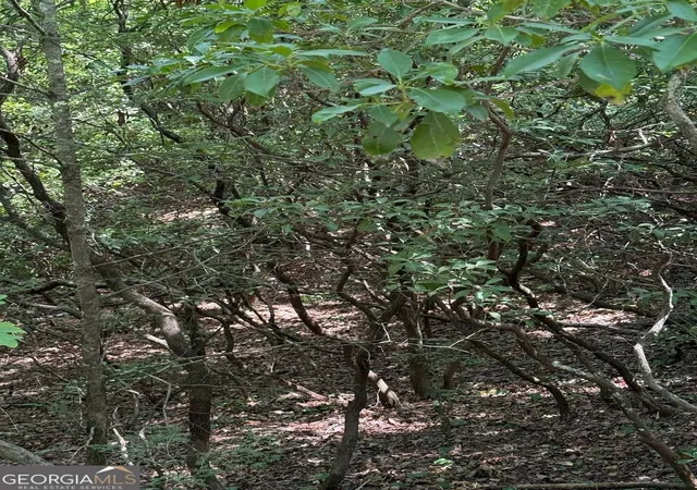 5th image of 0 Crumley Creek Rd #TRACT 2, Sautee Nacoochee, GA 30571 | MLS# 10804288
