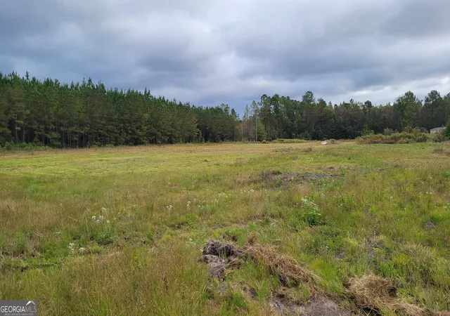 1st image of 88 Rogers Break Rd, Jesup, GA 31546 | MLS# 10775604