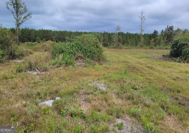 2nd image of 88 Rogers Break Rd, Jesup, GA 31546 | MLS# 10775604