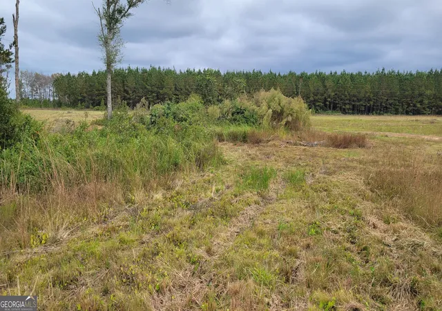 3rd image of 88 Rogers Break Rd, Jesup, GA 31546 | MLS# 10775604