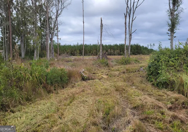 4th image of 88 Rogers Break Rd, Jesup, GA 31546 | MLS# 10775604