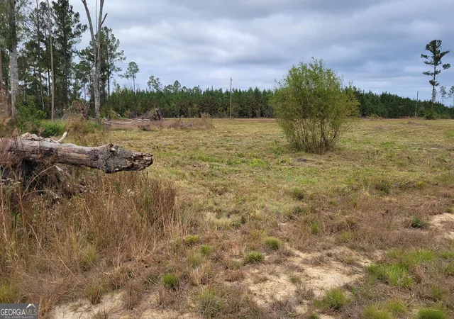 5th image of 88 Rogers Break Rd, Jesup, GA 31546 | MLS# 10775604