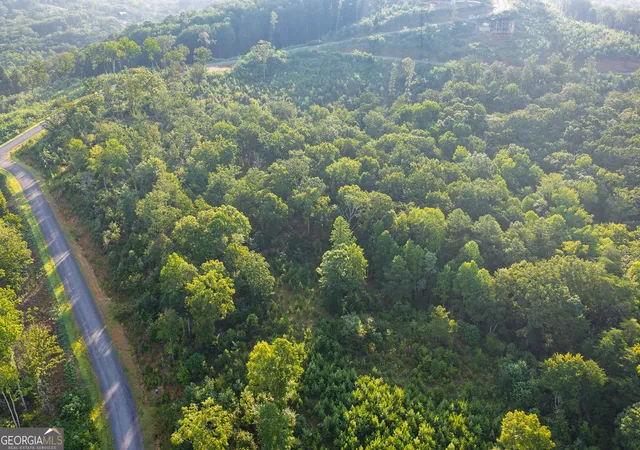 Photo 3 of Land for sale at Lot 191 Oak Park Dr, Talking Rock, GA 30175 | MLS# 10835536 | Listing updated on 2026-09-11