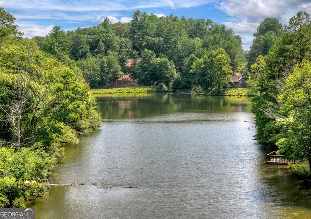61st image of 160 Adams Cir, Mineral Bluff, GA 30559 | MLS# 10804387