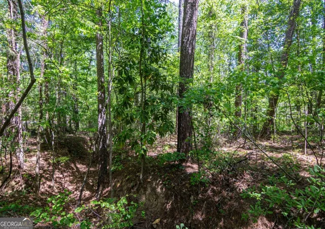 13th image of 45 Cornish Trace Dr, Covington, GA 30014 | MLS# 10741760