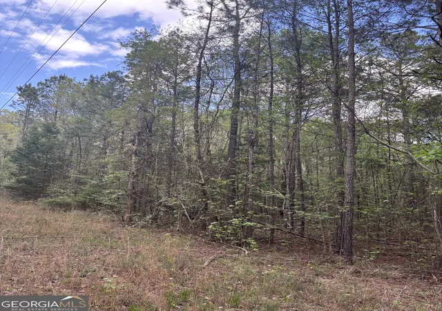 Photo 3 of Sale Pending at 0 Valley Rescue Mission Rd #202, Hamilton, GA 31811 | MLS# 10806555 | Listing updated on 2026-09-08