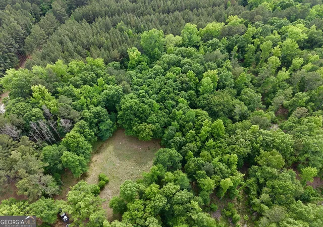 117th image of 715 Fulsome Creek Rd, Sparta, GA 31087 | MLS# 10765610