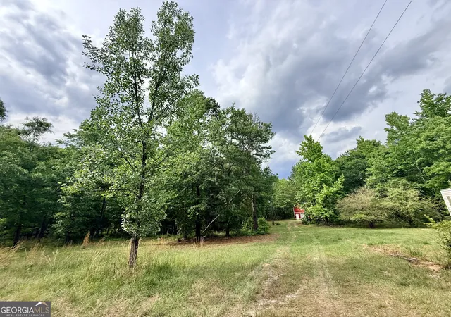 4th image of 715 Fulsome Creek Rd, Sparta, GA 31087 | MLS# 10765610