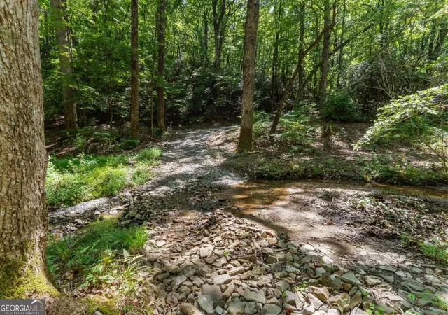 92nd image of 430 Sassafras Mountain Laurel Ln, Jasper, GA 30143 | MLS# 10735250