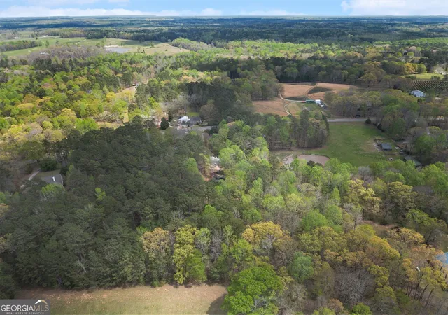 25th image of 1201 Sid Hunter Rd, Senoia, GA 30276 | MLS# 10812641