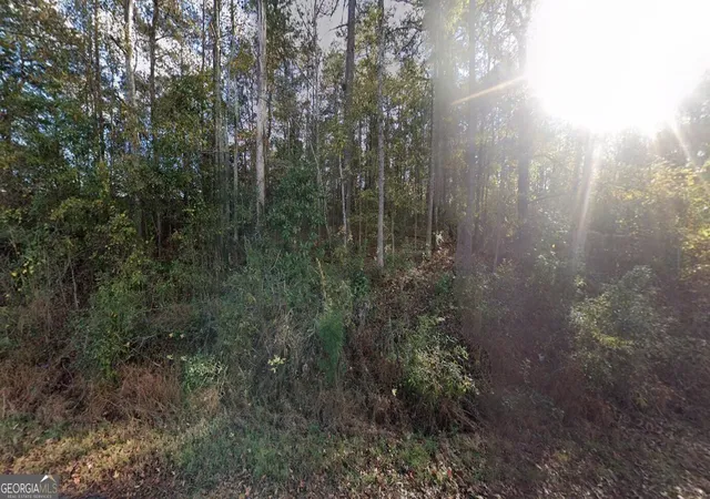 Homes for sale in Lagrange, GA | 246 Pine Hill Rd, Lagrange, GA 30241 | MLS# 10794030