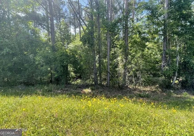 Homes for sale in Eatonton, GA | - Gray Rd Sw, Eatonton, GA 31024 | MLS# 10768233