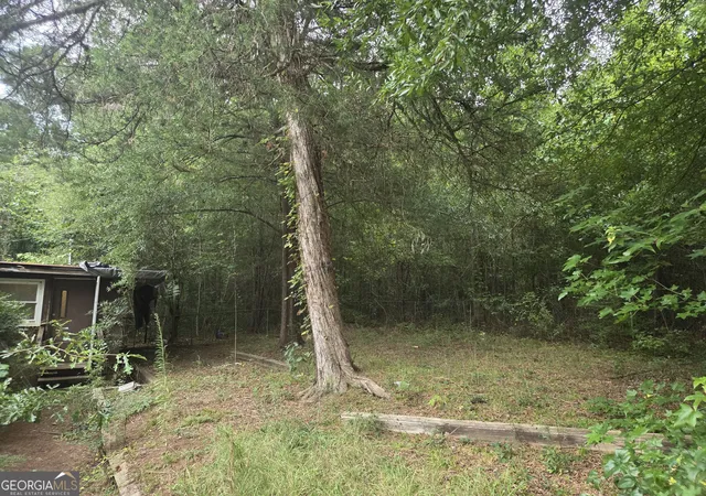15th image of 149 Cain Cir, Milner, GA 30257 | MLS# 10815426