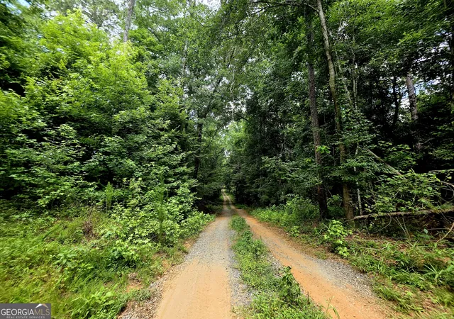 2nd image of 0 Hwy 42 S #LOT 3, Forsyth, GA 31029 | MLS# 10802346